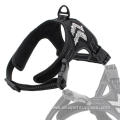 Eco-friendly high quality reflective canvas dog harness